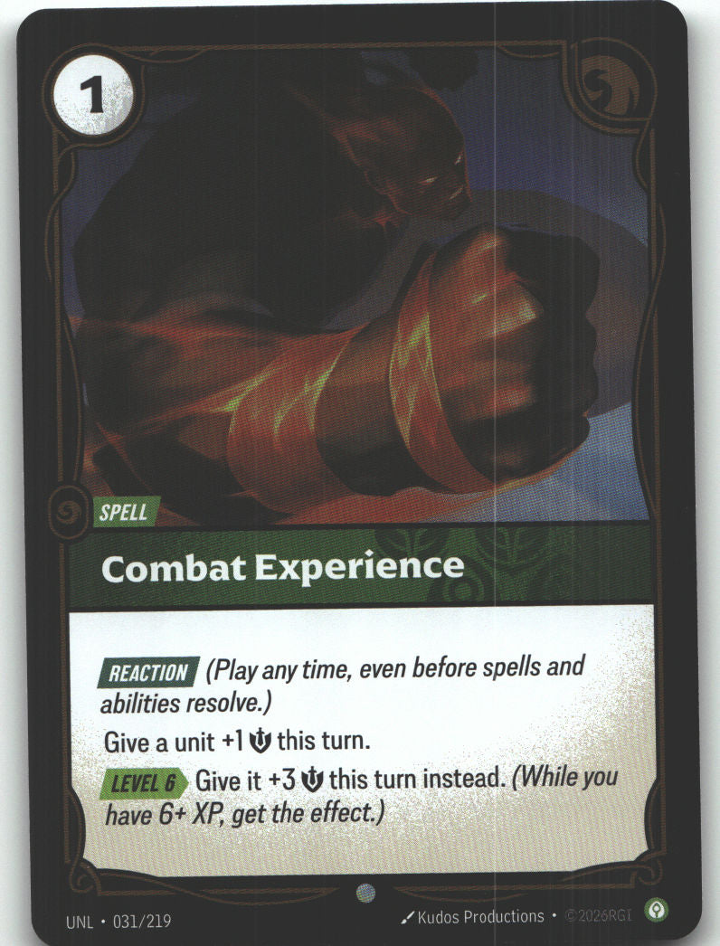 Combat Experience | Near Mint / English / Foil
