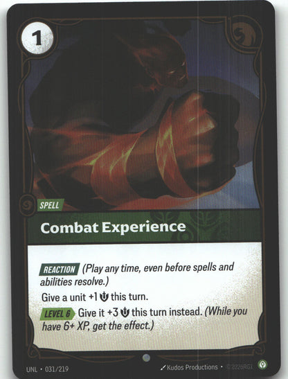 Combat Experience | Near Mint / English / Foil