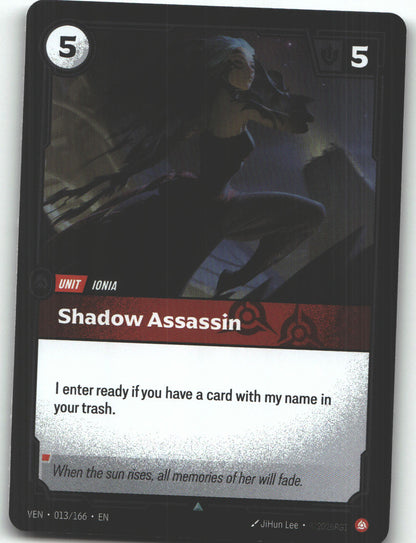 Shadow Assassin