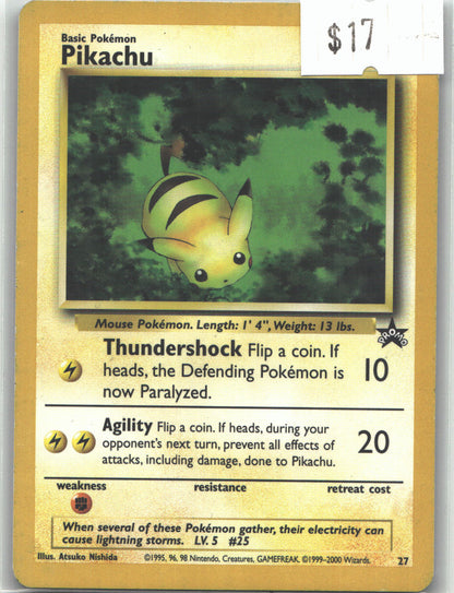 Pikachu (27)