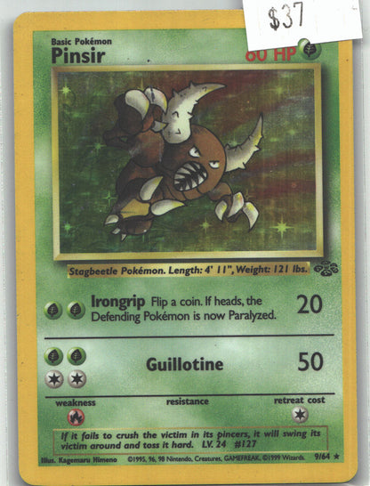 Pinsir (9)