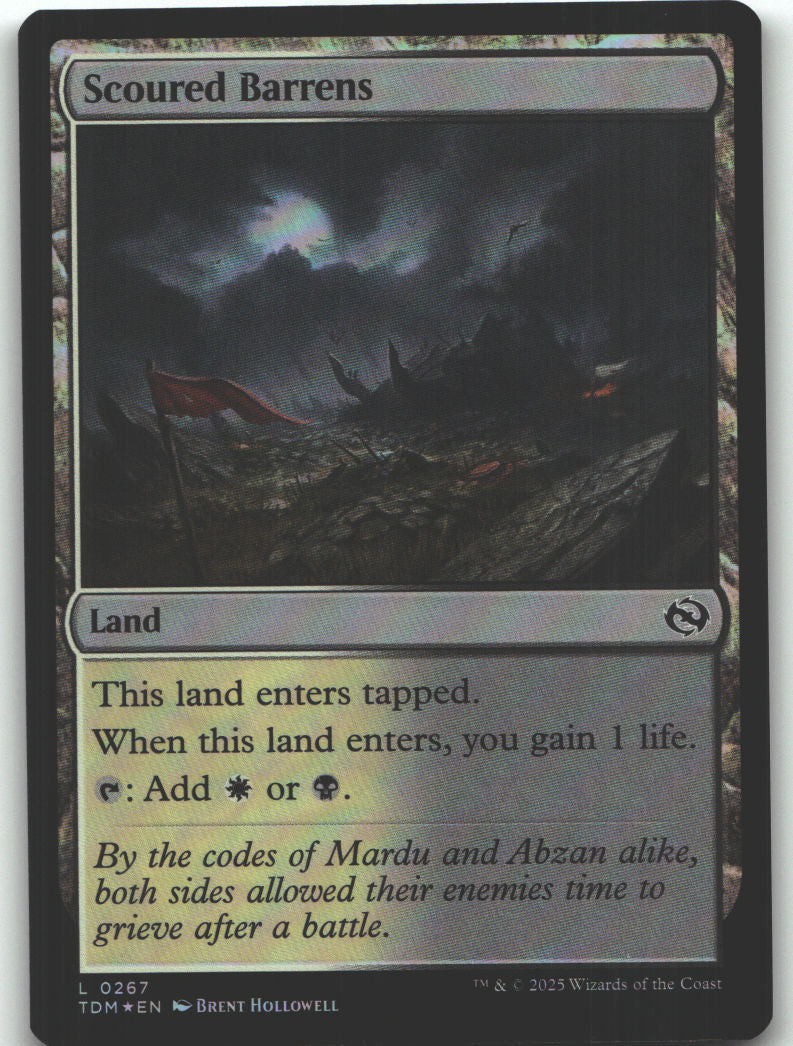 Scoured Barrens