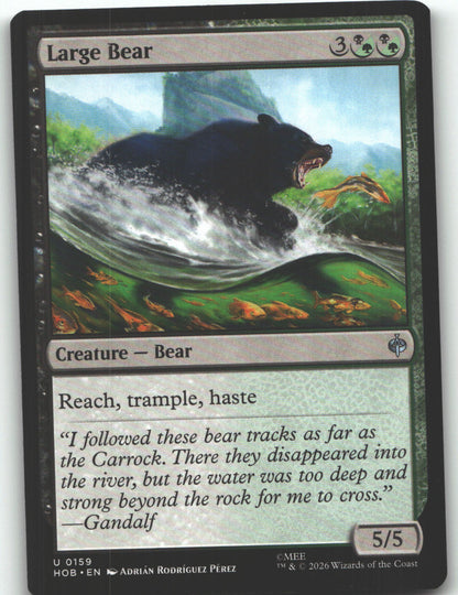 Large Bear