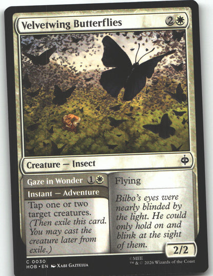 Velvetwing Butterflies