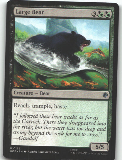 Large Bear