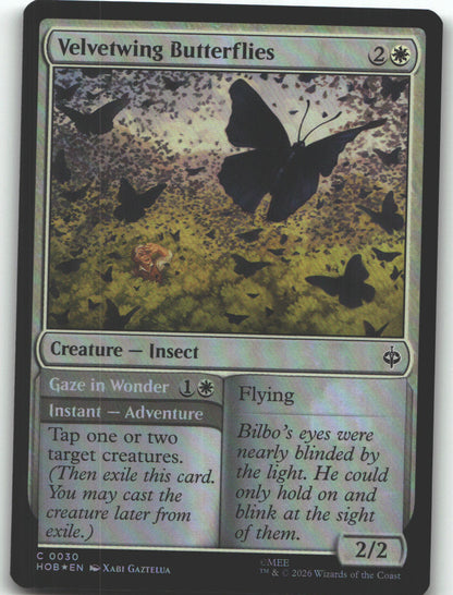 Velvetwing Butterflies
