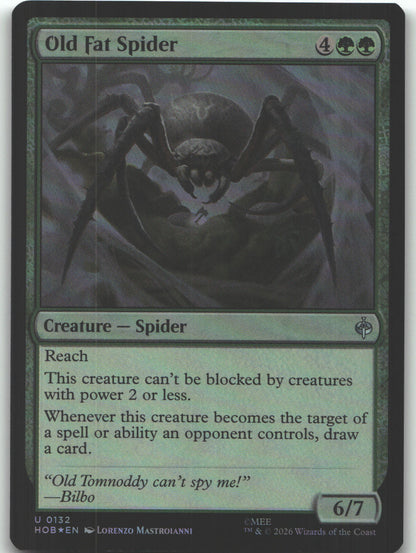 Old Fat Spider