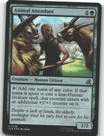 Animal Attendant