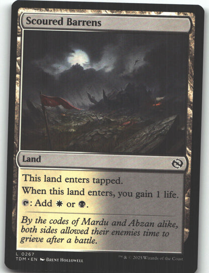 Scoured Barrens