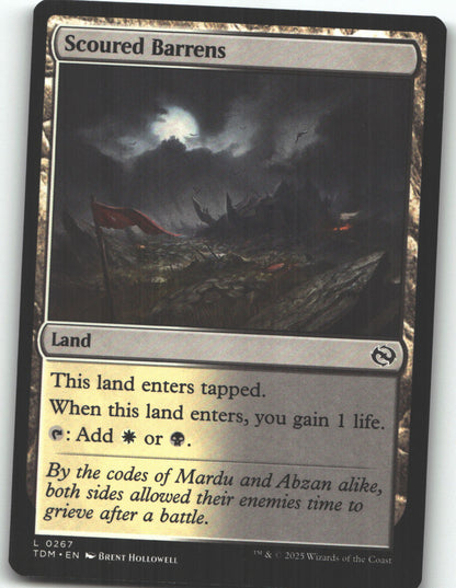 Scoured Barrens