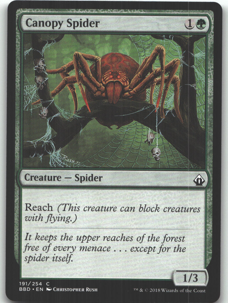 Canopy Spider