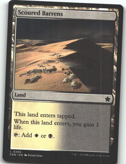 Scoured Barrens