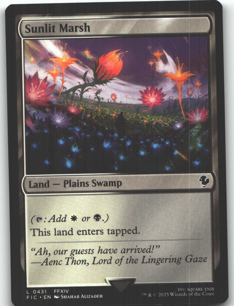 Sunlit Marsh