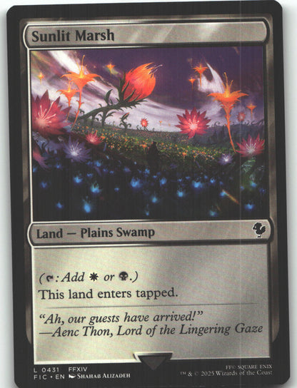 Sunlit Marsh