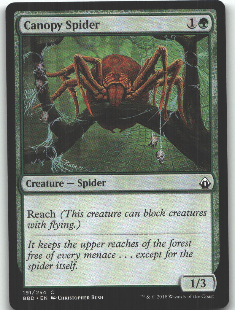 Canopy Spider