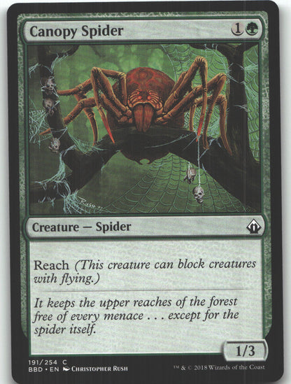Canopy Spider