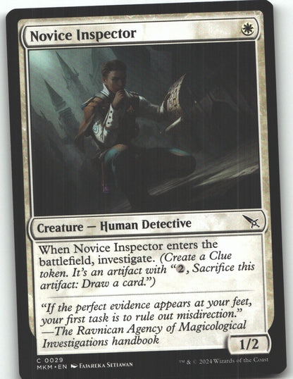 Novice Inspector