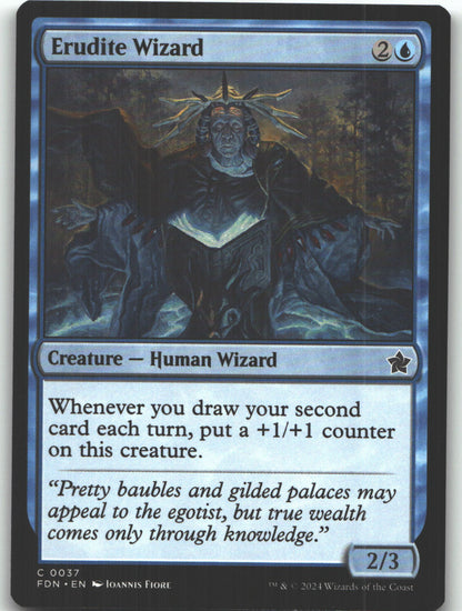 Erudite Wizard