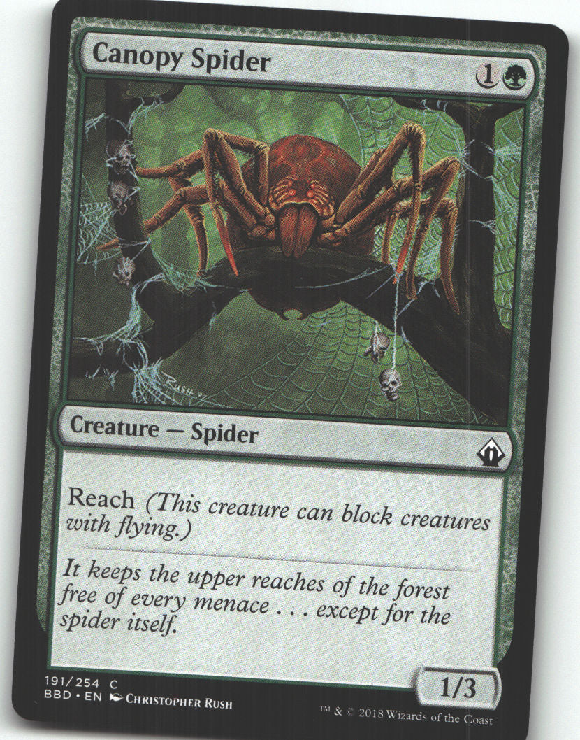 Canopy Spider