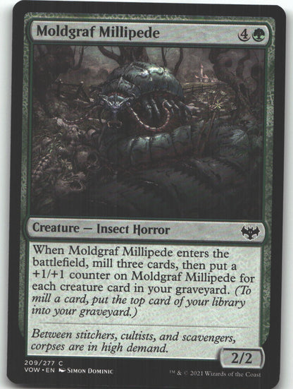 Moldgraf Millipede