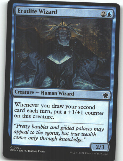 Erudite Wizard