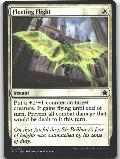 Fleeting Flight
