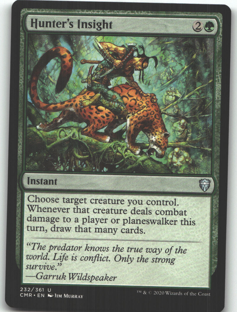 Hunter's Insight