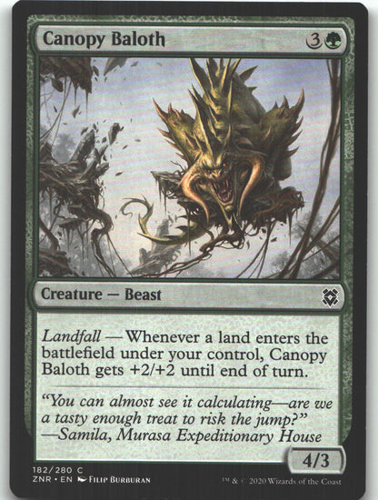 Canopy Baloth