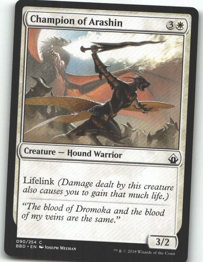 Champion of Arashin