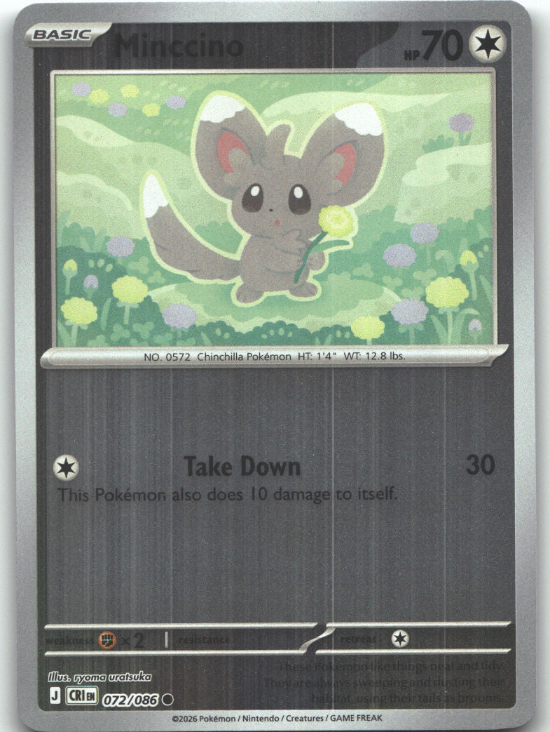 Minccino