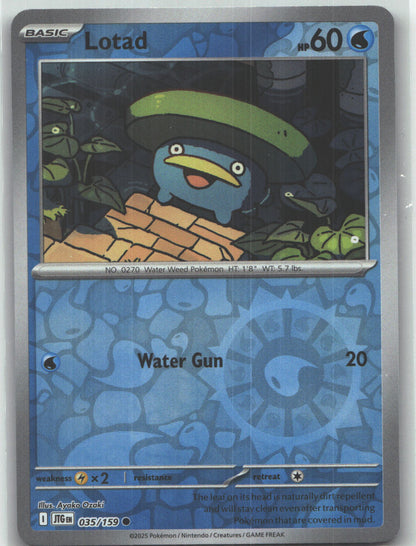 Lotad