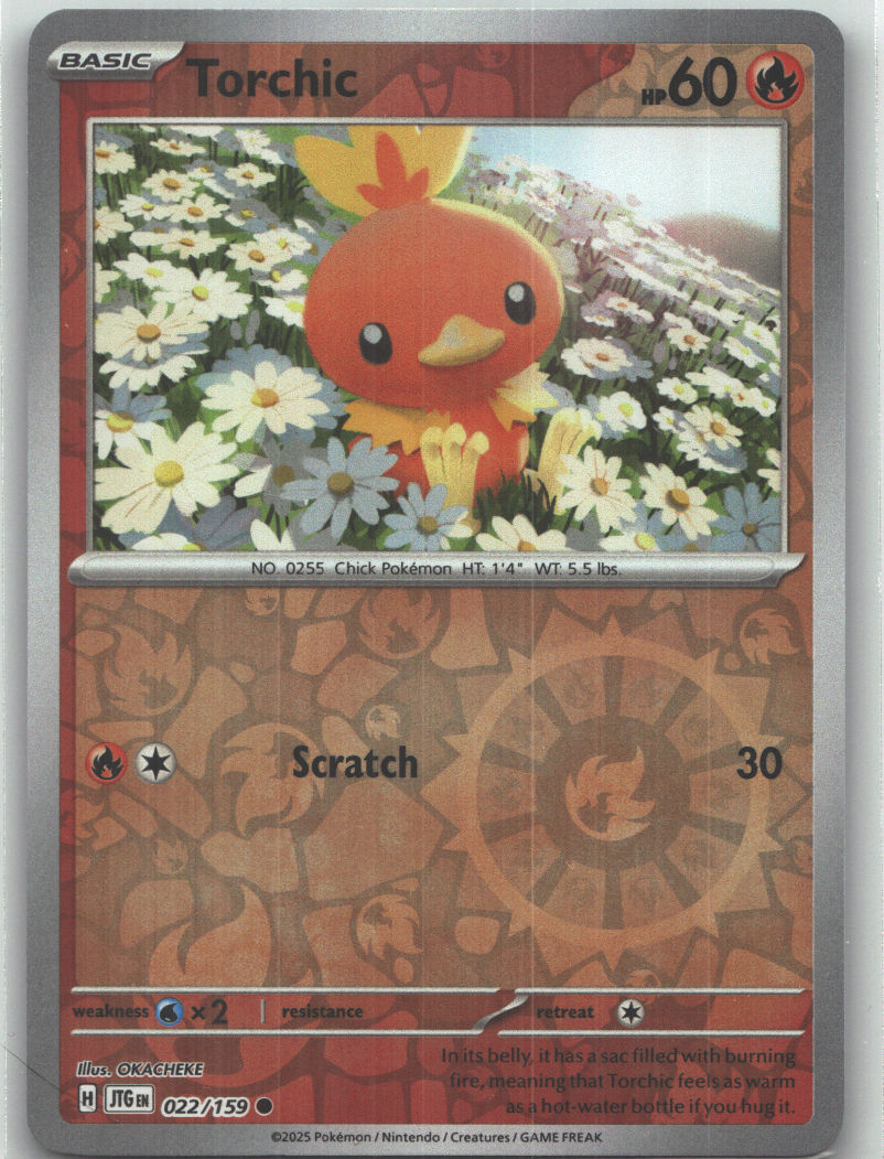 Torchic