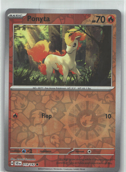 Ponyta