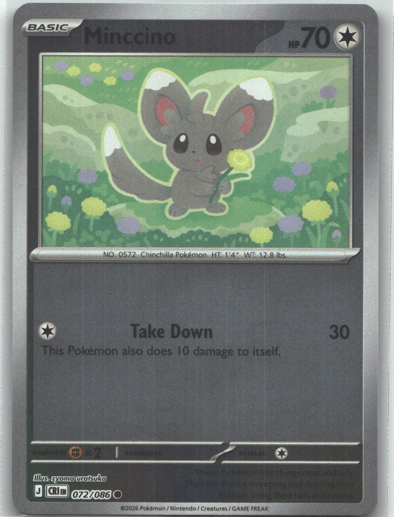 Minccino
