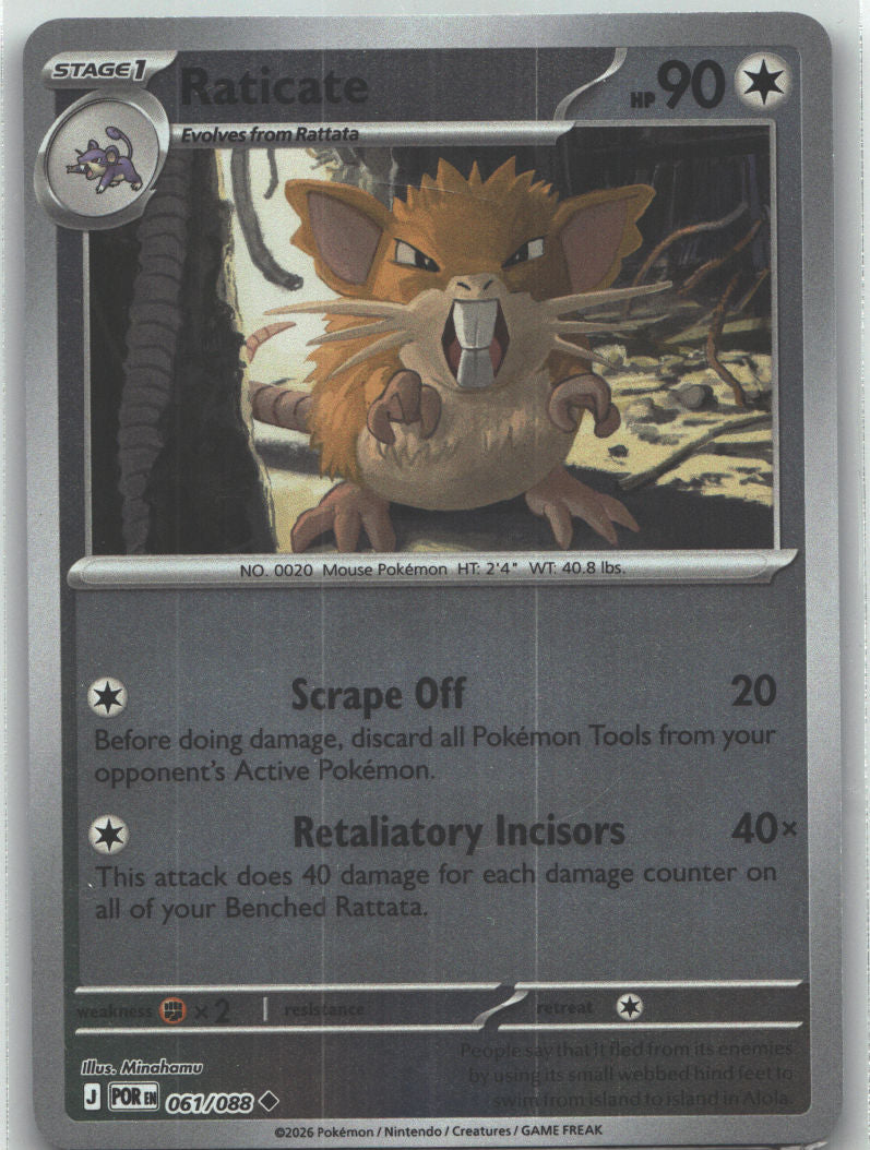 Raticate - 061/088