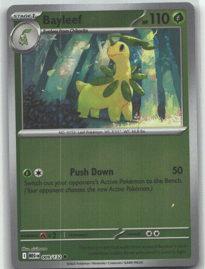 Bayleef