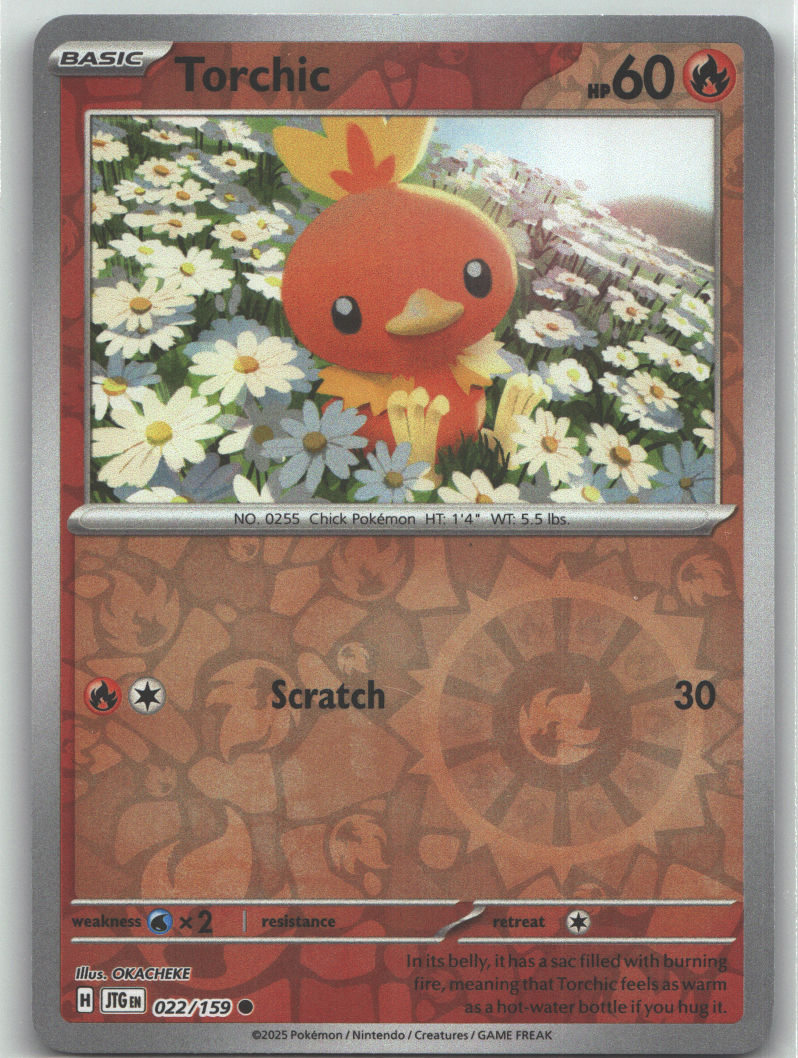 Torchic