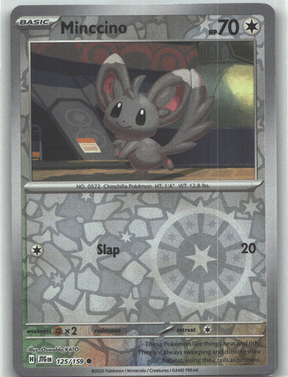 Minccino