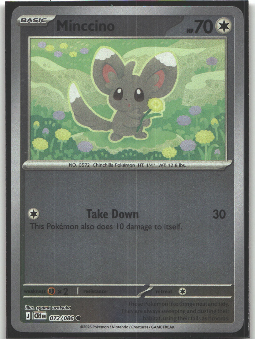 Minccino