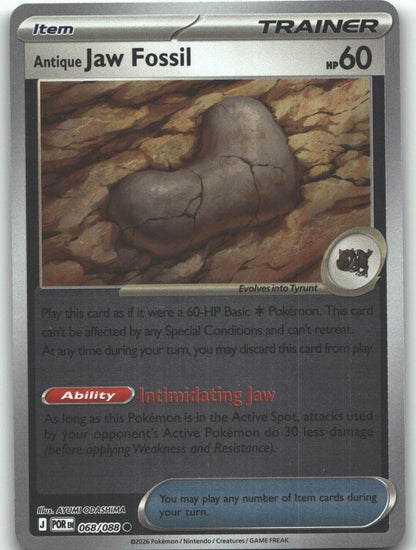 Antique Jaw Fossil