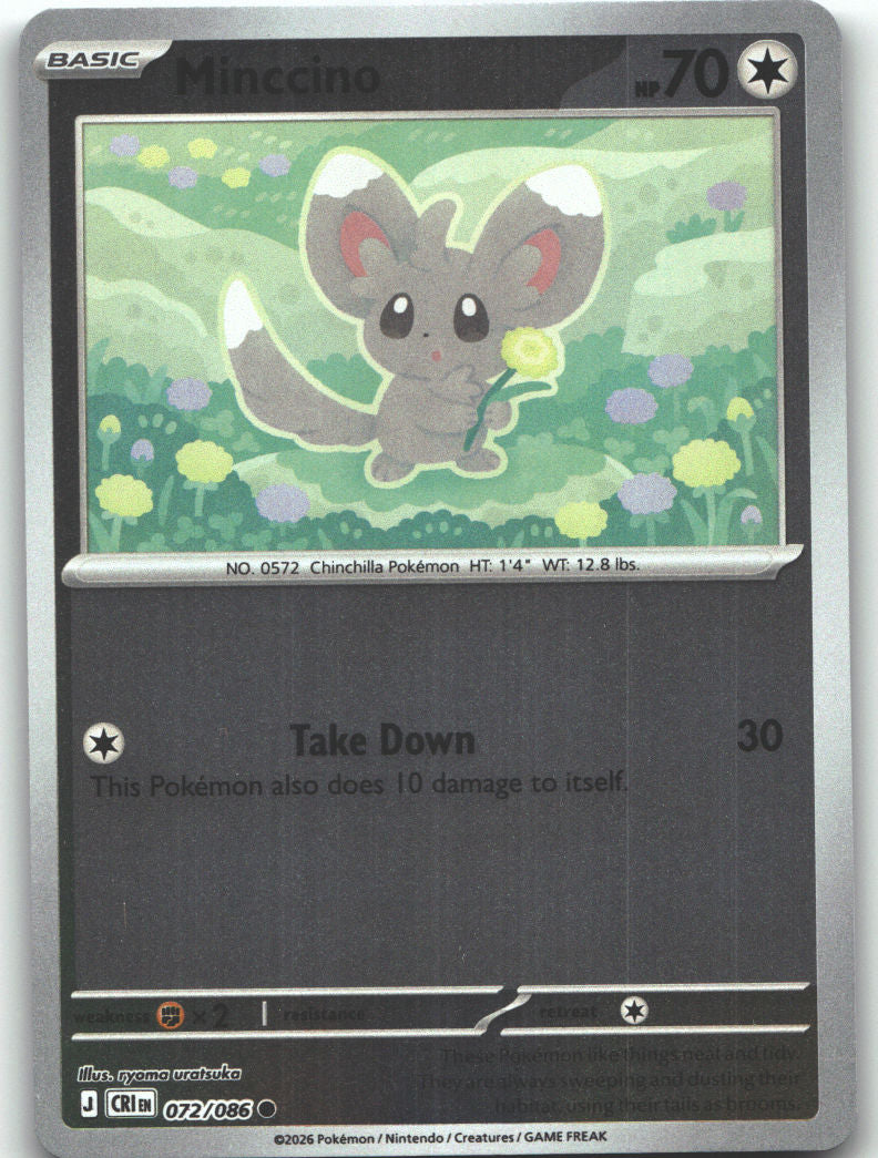 Minccino