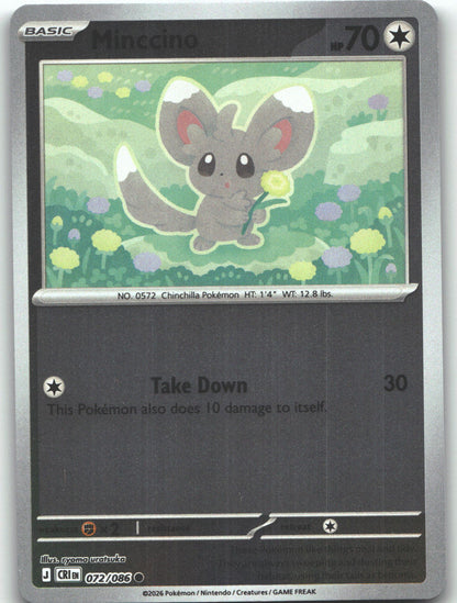 Minccino