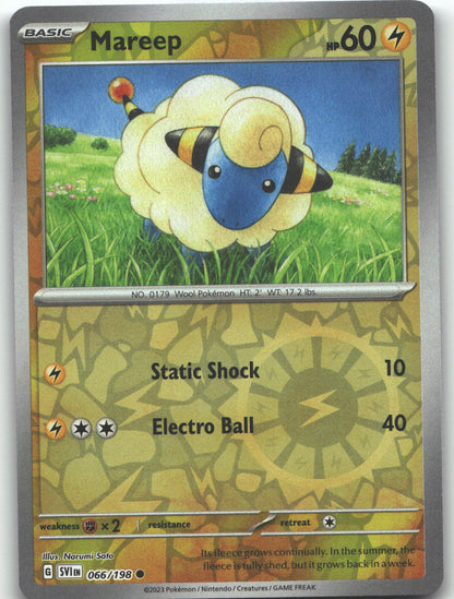 Mareep