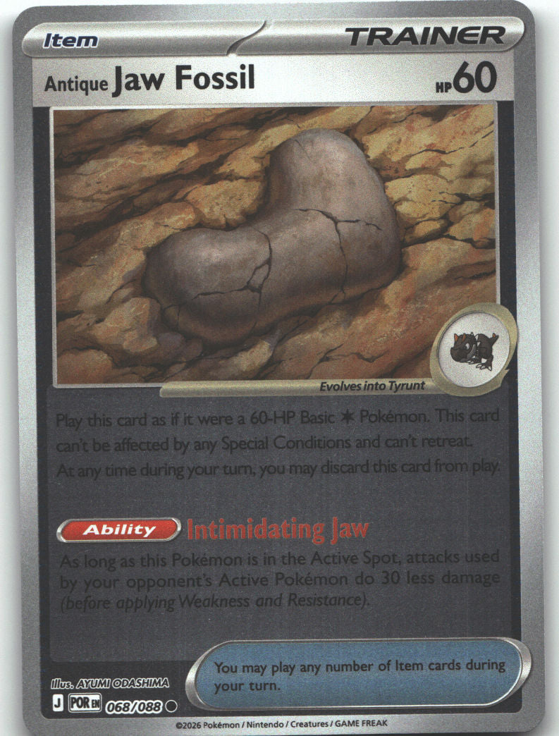 Antique Jaw Fossil