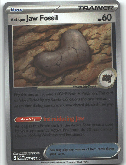 Antique Jaw Fossil