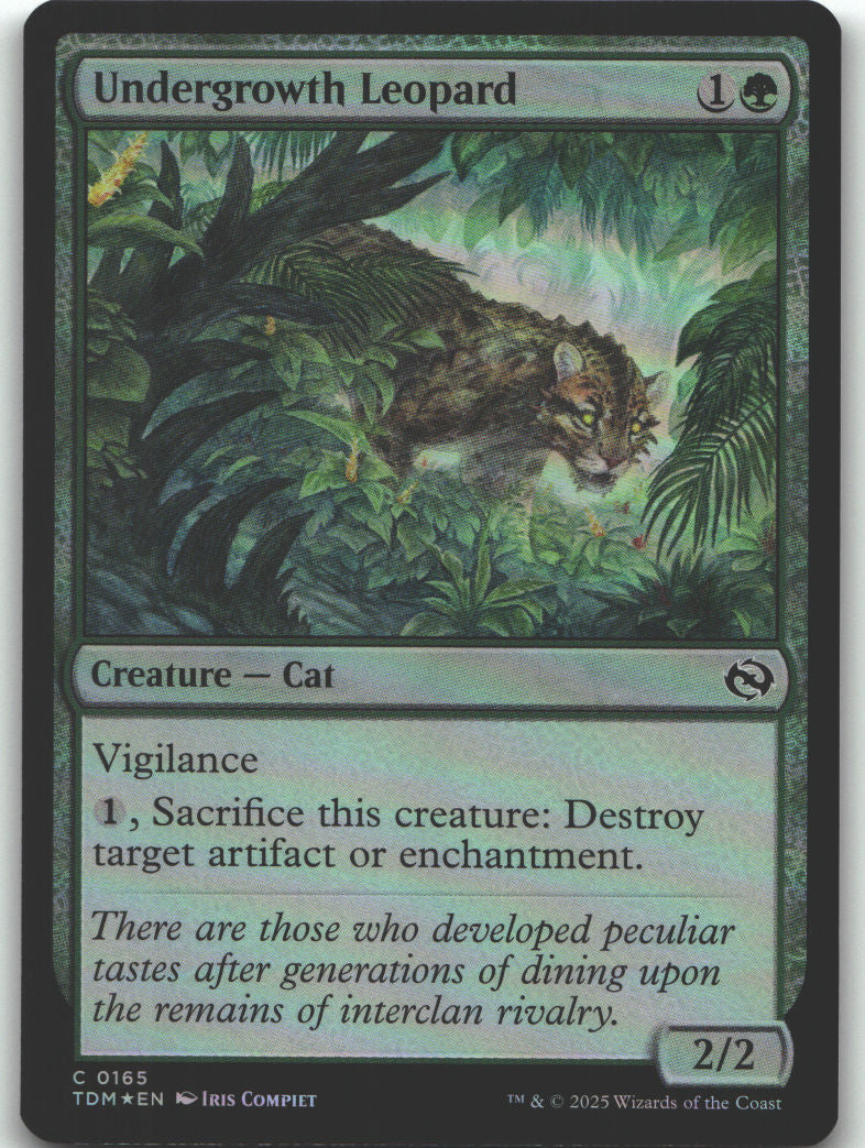 Undergrowth Leopard