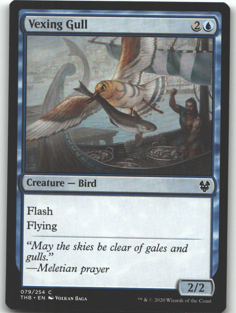 Vexing Gull