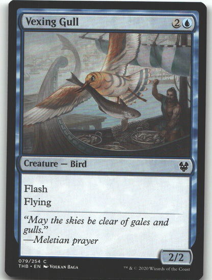 Vexing Gull