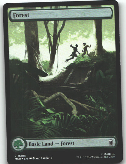 Forest (0285)