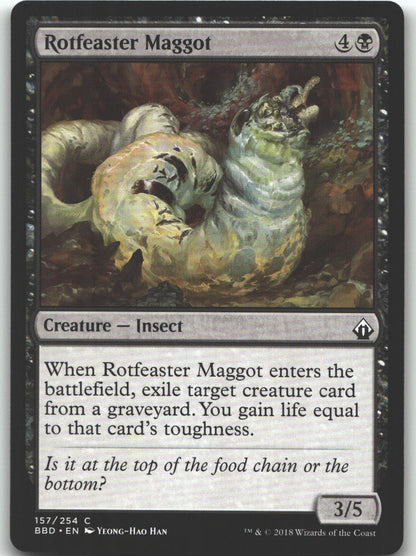 Rotfeaster Maggot